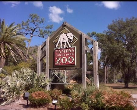Bush Garden Park Nearby Apartments Tampa Bagian luar foto